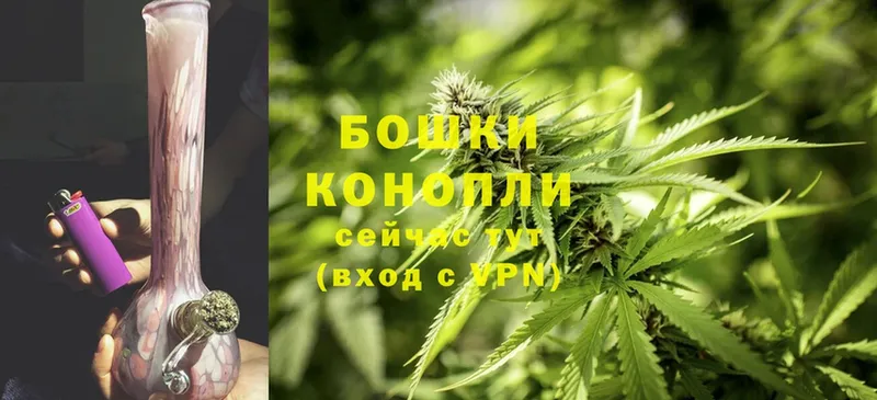 кракен ONION  Североморск  Каннабис Ganja  цена  